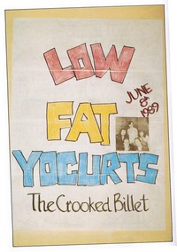 The Low Fat Yogurts