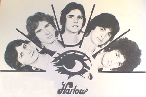 Harlow Eye
